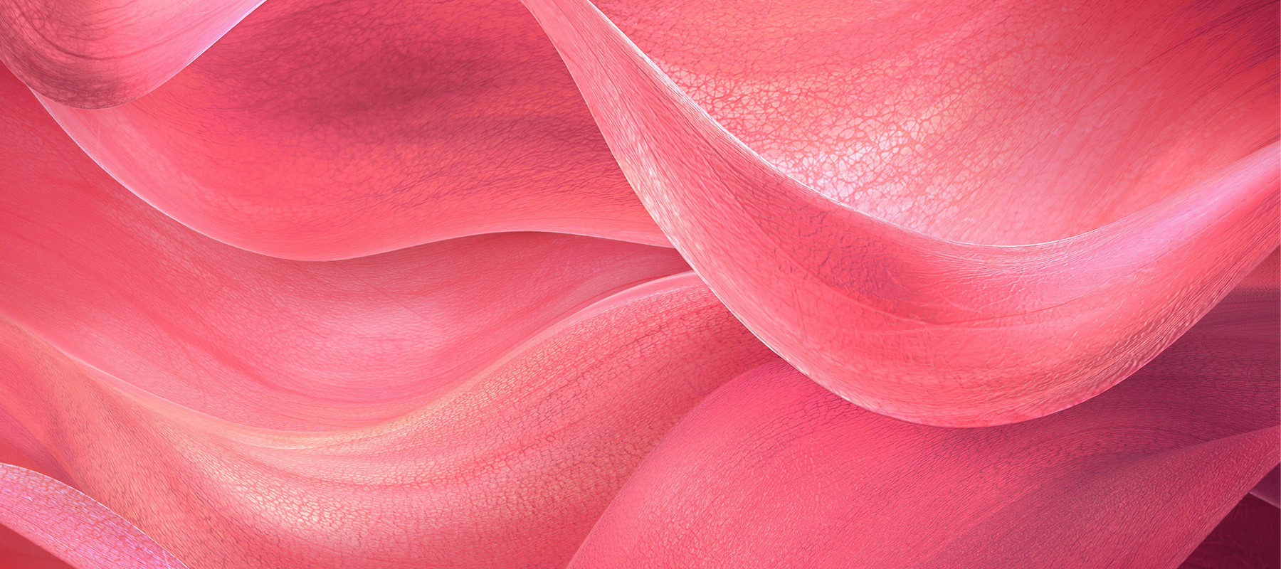 Ecobiology Bioderma visual