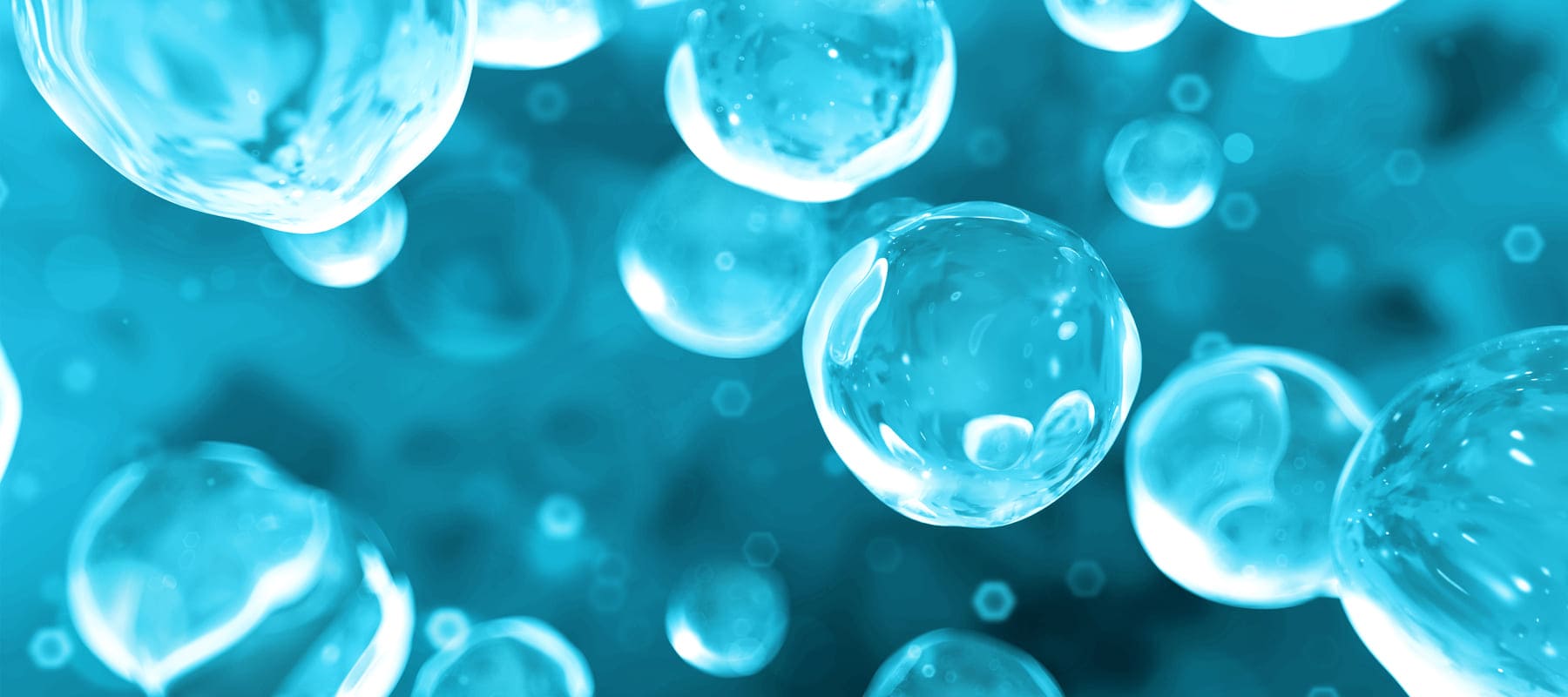 Hyaluronic acid ingredient